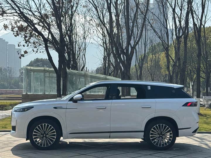 Chery Tiggo 9 2025 2025款 2.0T 双离合两驱豪享版 5座