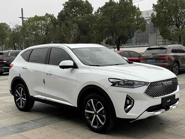 2021 Haval F7