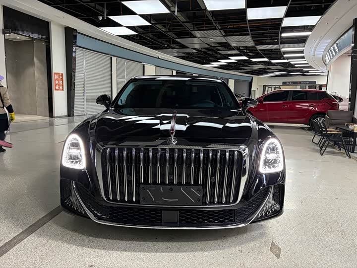 Hongqi L1 (Guoya) 2024 2024款 3.0T V6版