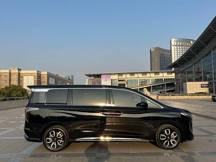 Hongqi HQ9 2023 2023款 2.0T 智联旗领版