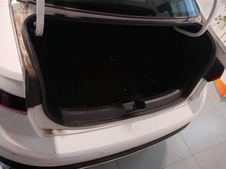 Volkswagen Sagitar L 2025 2025款 300TSI DSG超越版