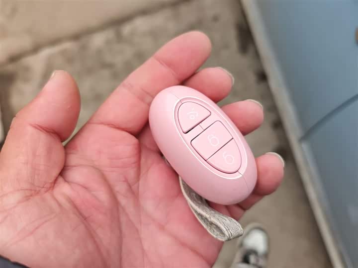 Ora Ballet Cat 2023 2023款 401km 尊贵型