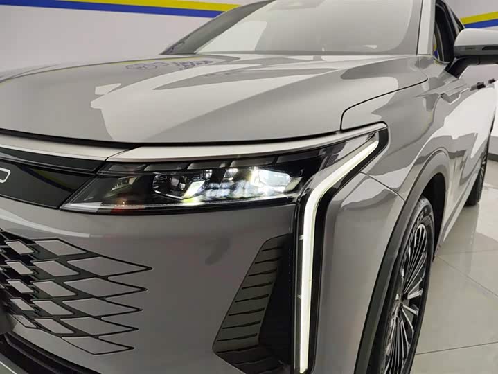 Exeed RX C-DM Hybrid 2024 2024款 1.5T 长续航Pro