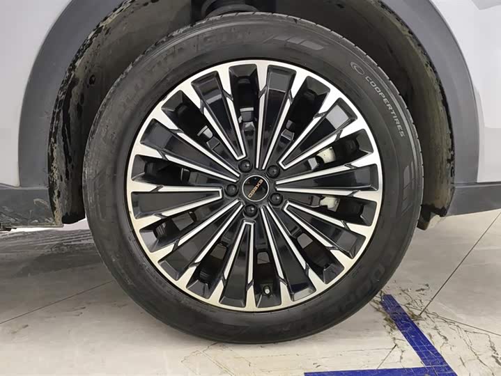 Exeed RX C-DM Hybrid 2024 2024款 1.5T 长续航Pro