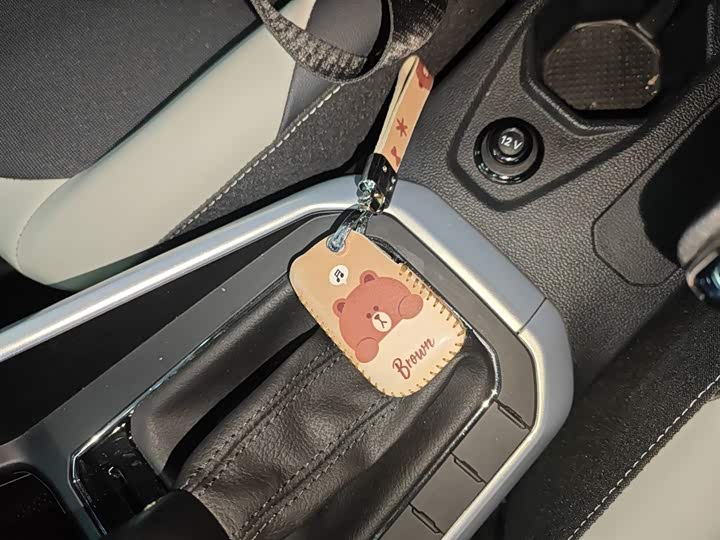 Volkswagen Polo 2023 2023款 Plus 1.5L 自动炫彩科技版