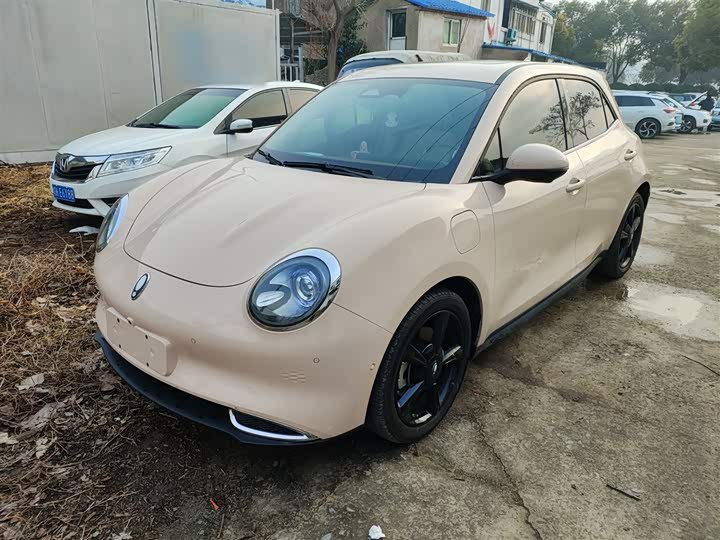 Ora Good Cat (03) 2024 2024款 401km 尊荣型 135kW