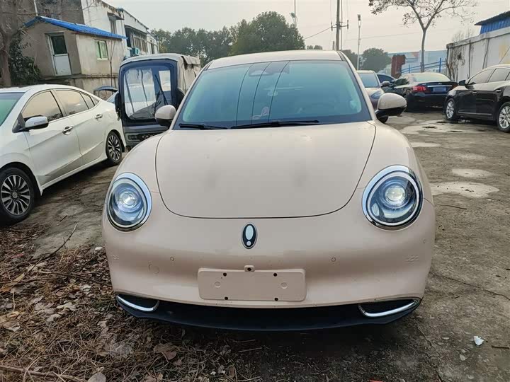 Ora Good Cat (03) 2024 2024款 401km 尊荣型 135kW