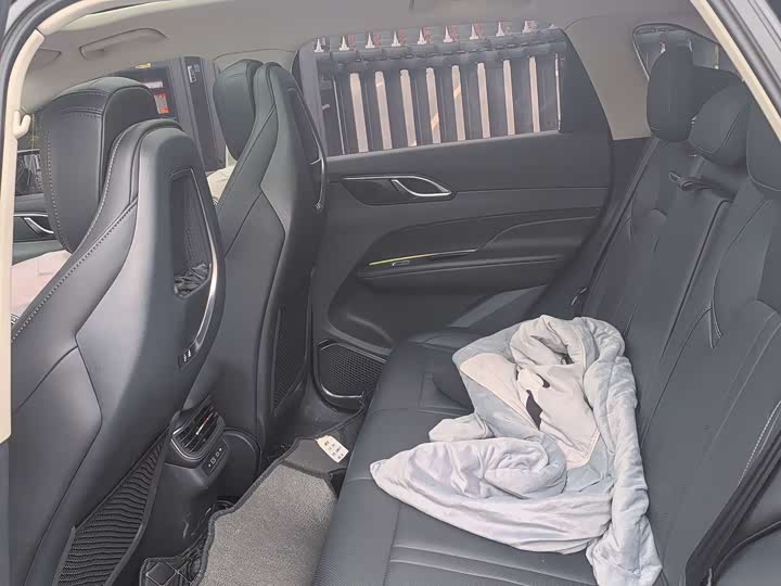 Hongqi HS3 2024 2024款 1.5T 善为版