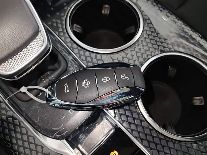 Hongqi HS3 Hybrid 2024 2024款 115km 劲为版