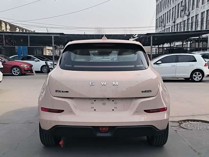 Ora Good Cat (03) 2025 2025款 430km 尊荣型