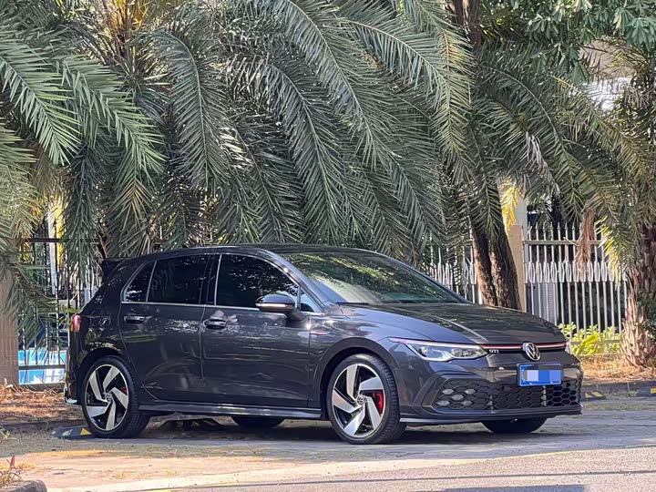 Volkswagen Golf GTI 2023 2023款 380TSI DSG GTI