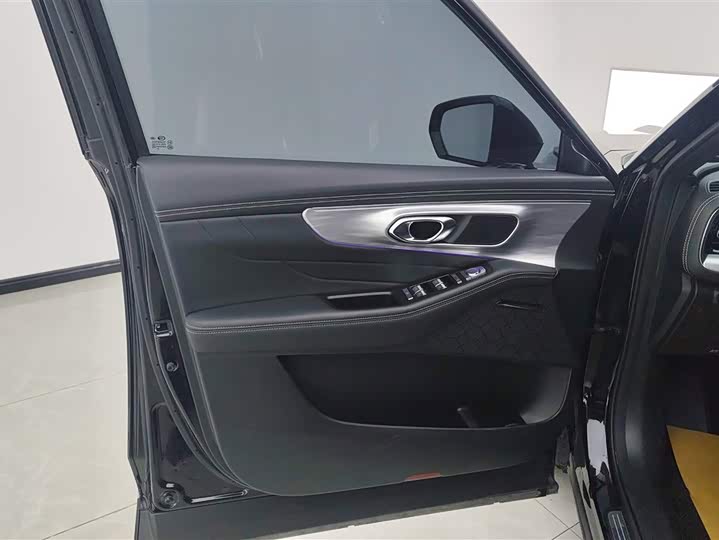 GAC Trumpchi GS8 2024 2024款 领航系列 2.0TGDI 两驱豪华智联版