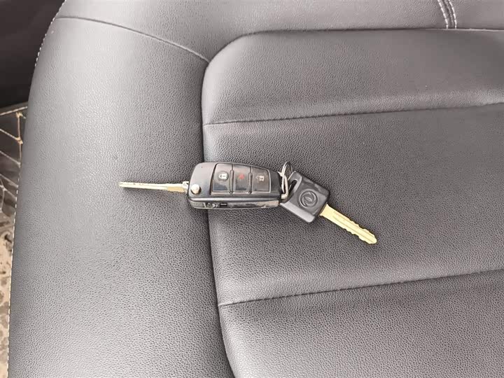 Dongfeng Rich 2021 2021款 2.4L汽油两驱创业版长货箱2TZD