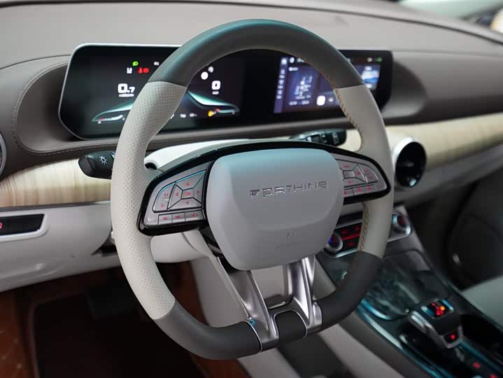 Dongfeng Forthing Yacht 2024 2024款 1.5T DCT 观海版