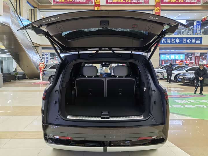 Denza N9 2025 2025款 旗舰型