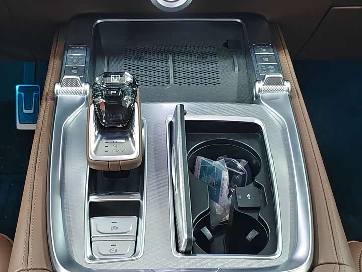 Tank 700 Hybrid 2024 2024款 Hi4-T 极境版