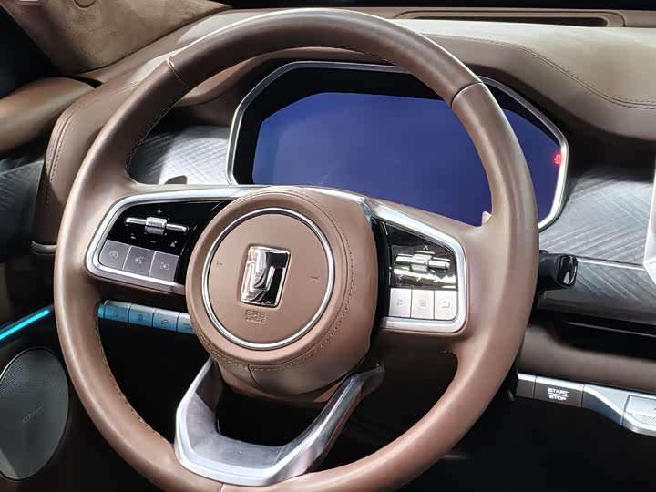 Tank 700 Hybrid 2024 2024款 Hi4-T 极境版