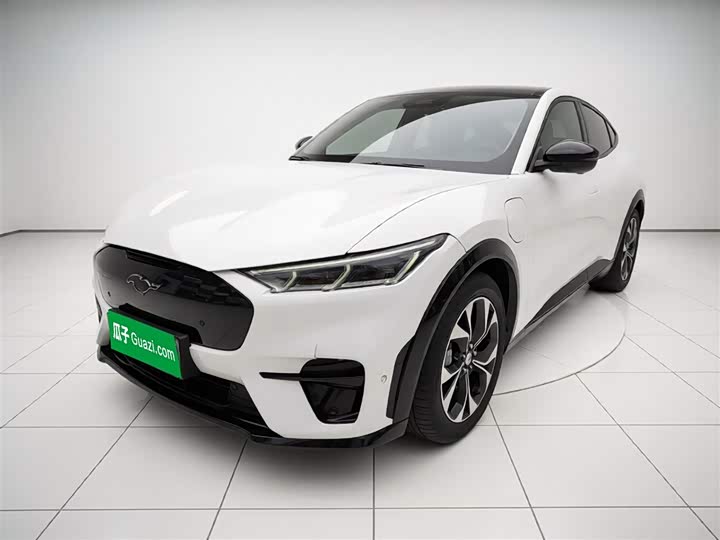Ford Mustang Mach-E 2021 2021款 无疆后驱豪华版(长续航)