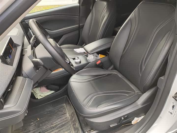 Ford Mustang Mach-E 2021 2021款 无疆后驱豪华版(长续航)