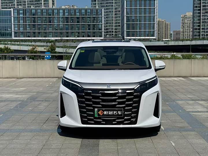 BYD Xia 2025 2025款 DM-i 1.5T 180km 卓越型