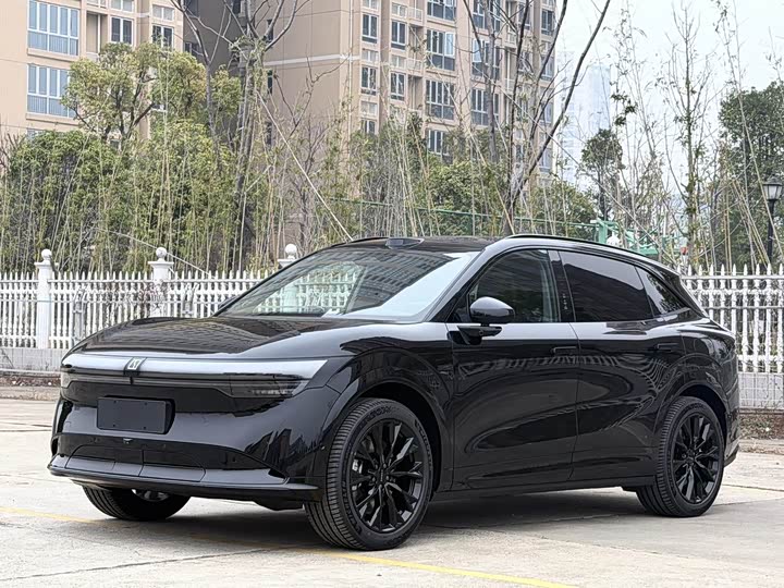 Zeekr 7X 2025 2025款 100kWh 长续航后驱智驾版