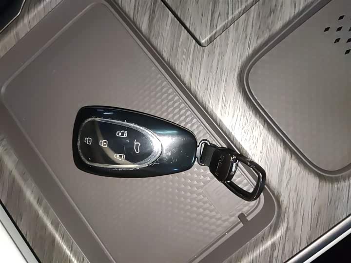 Wey Gaoshan 2025 2025款 四驱高山9