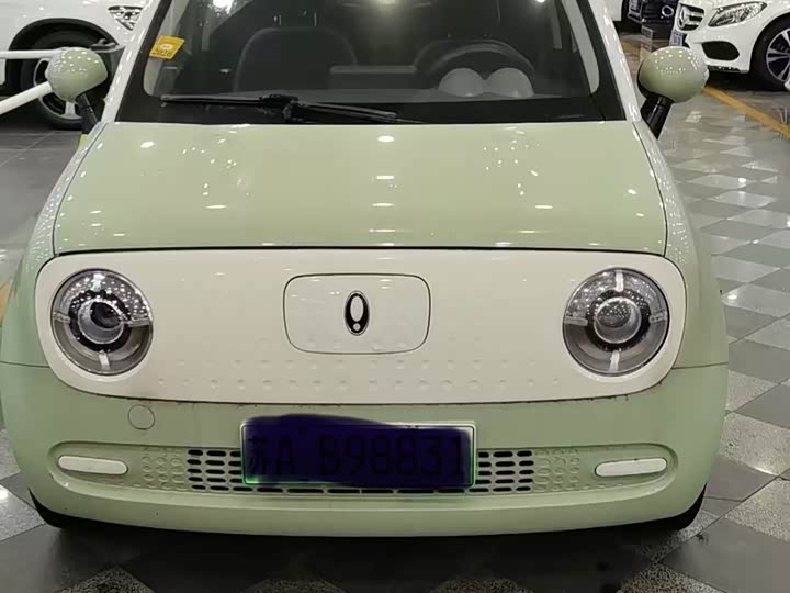 Ora Black Cat 2022 2022款 301km 萌宠版 磷酸铁锂