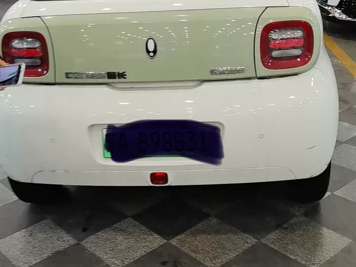 Ora Black Cat 2022 2022款 301km 萌宠版 磷酸铁锂