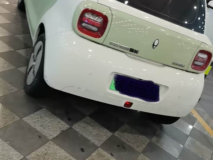 Ora Black Cat 2022 2022款 301km 萌宠版 磷酸铁锂