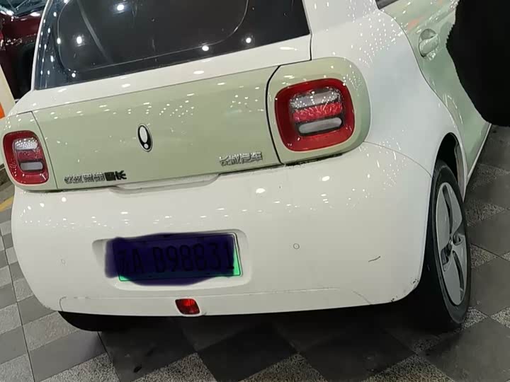 Ora Black Cat 2022 2022款 301km 萌宠版 磷酸铁锂