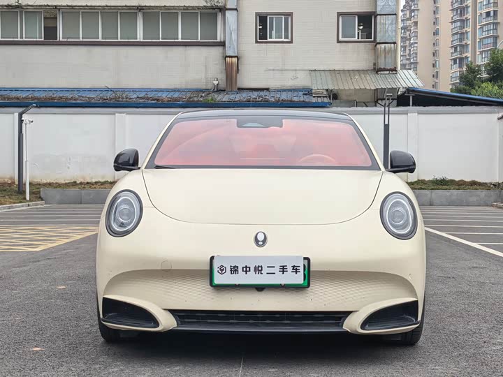 Ora Lightning Cat (07) 2022 2022款 555km 尊贵版