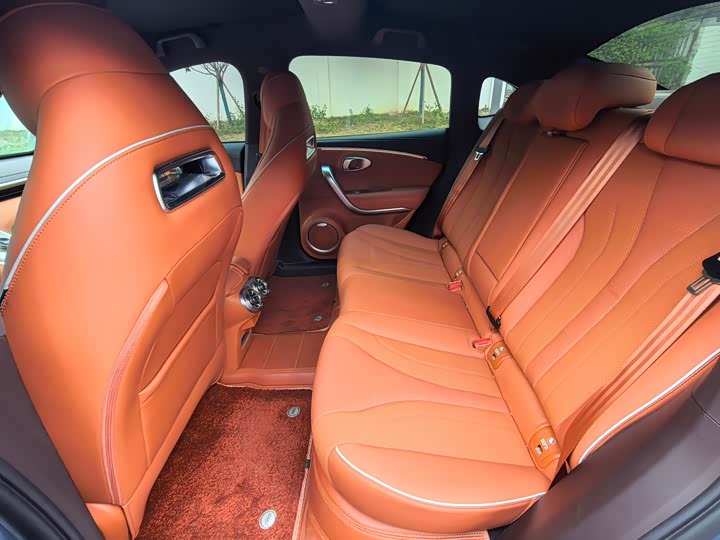 Ora Lightning Cat (07) 2022 2022款 555km 尊贵版