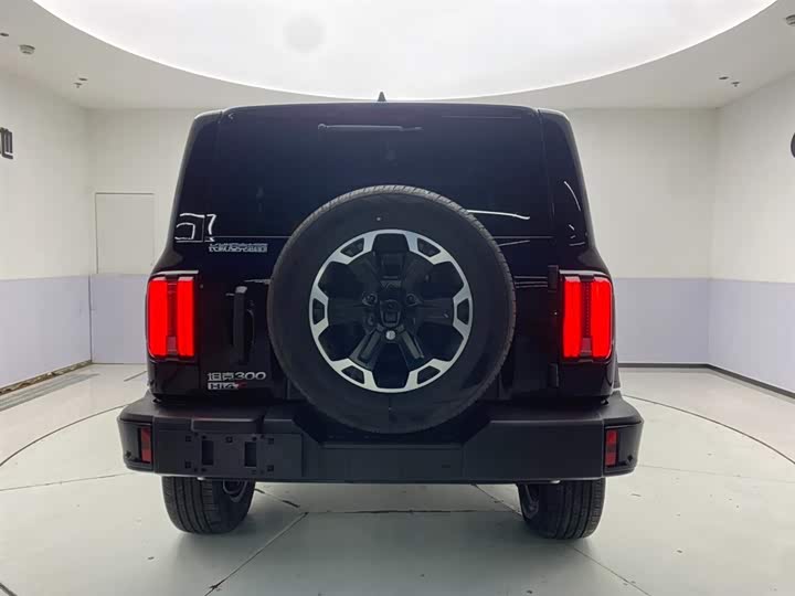 Tank 300 Hybrid 2025 2025款 Hi4-T 37.1kWh