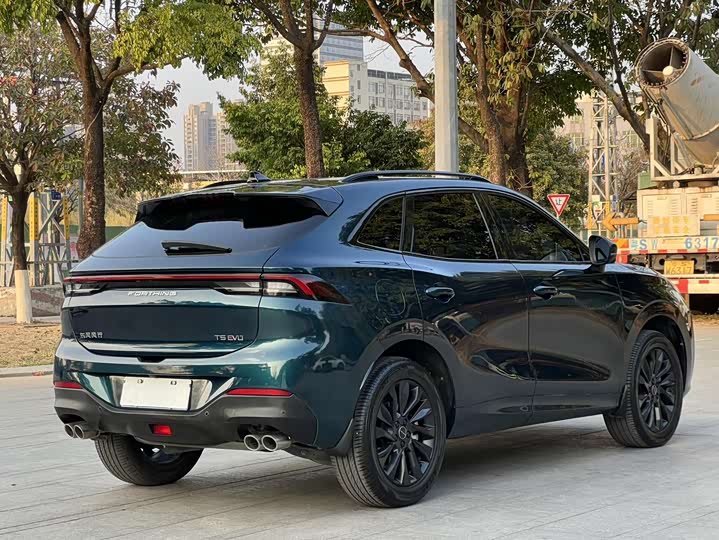 Dongfeng Forthing T5 EVO 2021 2021款 1.5TD DCT星耀版