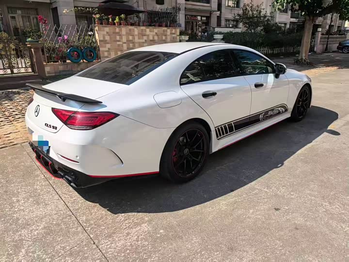 Mercedes-Benz CLS-Class 2023 2023款 CLS 300 动感型