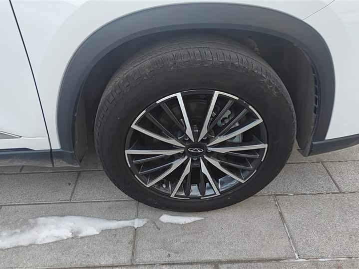 Chery Tiggo 8 Pro 2024 2024款 冠军版 290T 两驱巅峰版 5座