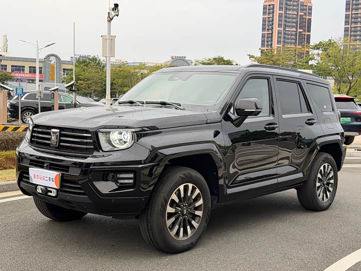 Tank 700 Hybrid 2024 2024款 Hi4-T 极境版