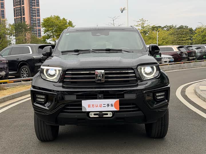 Tank 700 Hybrid 2024 2024款 Hi4-T 极境版