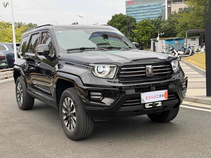 Tank 700 Hybrid 2024 2024款 Hi4-T 极境版