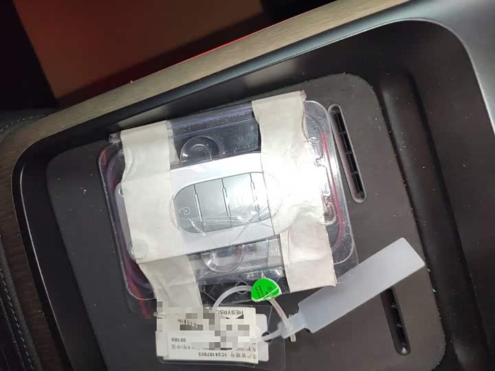 Smart #5 2024 2024款 超长续航奇旅 豪华版