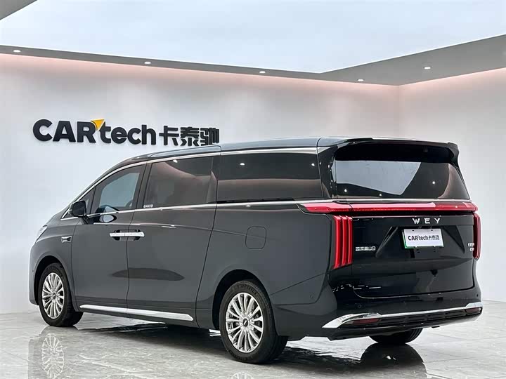 Wey Gaoshan 2025 2025款 四驱高山9