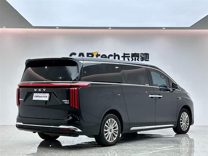 Wey Gaoshan 2025 2025款 四驱高山9