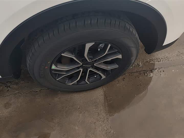 Haval H6 2025 2025款 1.5T 国潮都市版