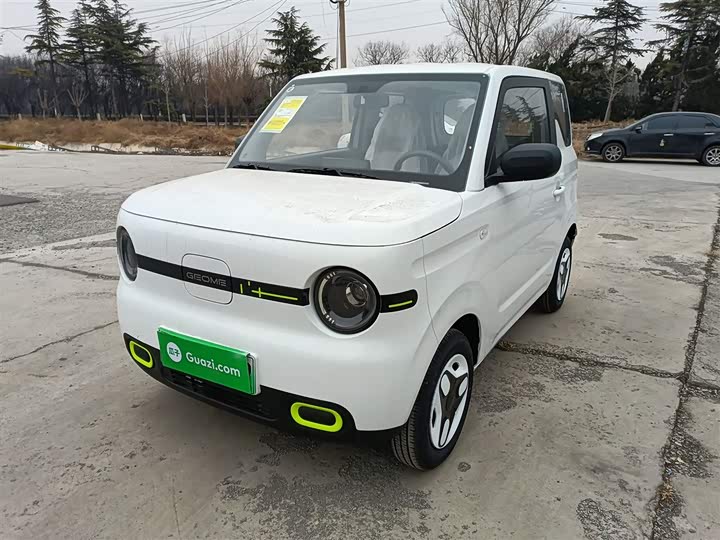 Geely Galaxy Panda Mini 2025 2025款 熊猫mini 210km 元气熊