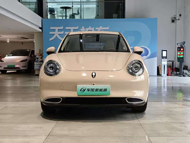 Ora Good Cat (03) 2023 2023款 401km标准续航 尊贵型 磷酸铁锂