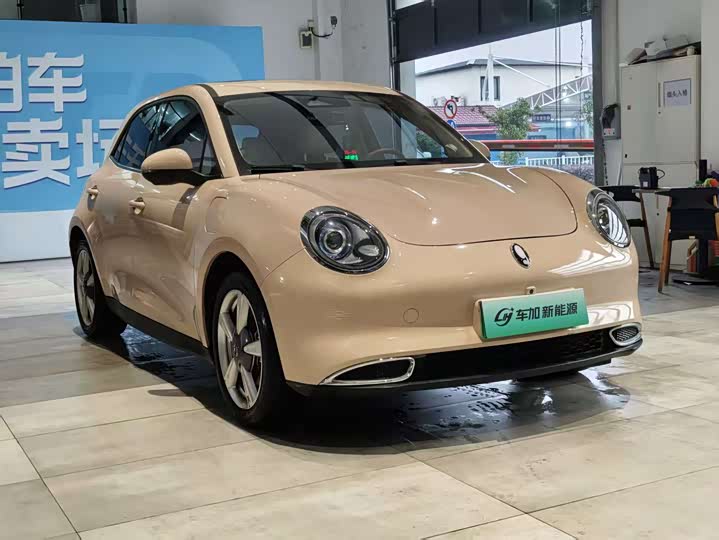Ora Good Cat (03) 2023 2023款 401km标准续航 尊贵型 磷酸铁锂