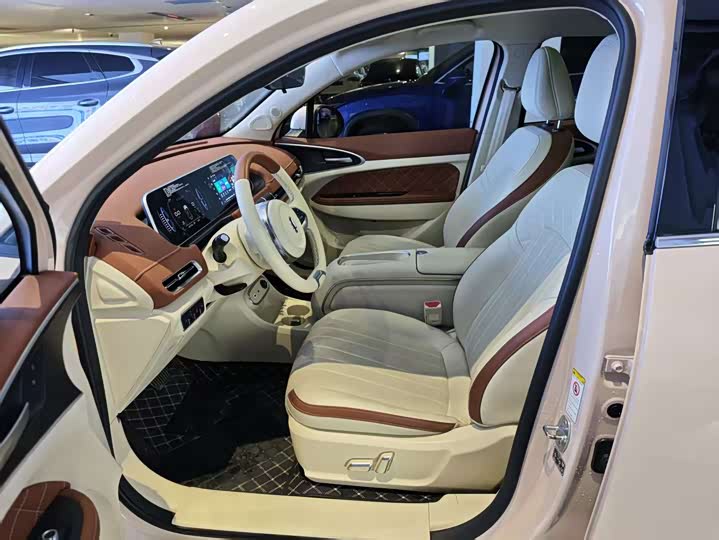 Ora Good Cat (03) 2023 2023款 401km标准续航 尊贵型 磷酸铁锂