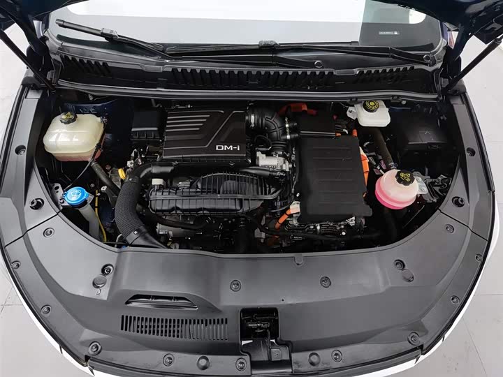 BYD Song Max Hybrid 2022 2022款 DM-i 105KM 旗舰型