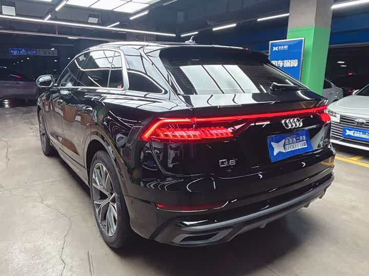 Audi Q8 2023 2023款 55 TFSI 豪华动感型