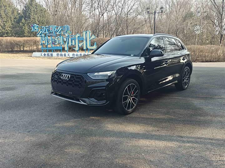Audi Q5L 2025 2025款 45周年典藏版 45 TFSI 豪华动感型
